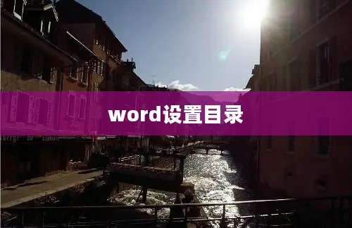word设置目录