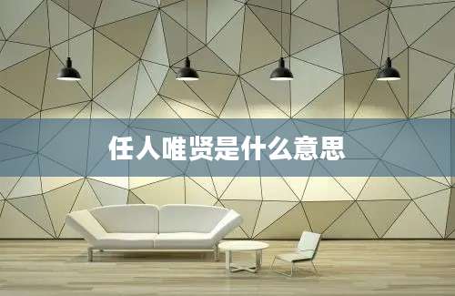任人唯贤是什么意思
