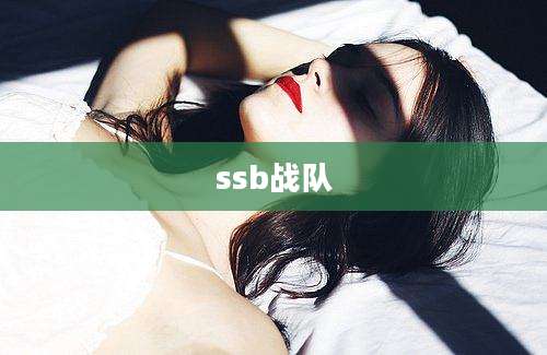 ssb战队