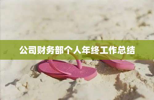公司财务部个人年终工作总结
