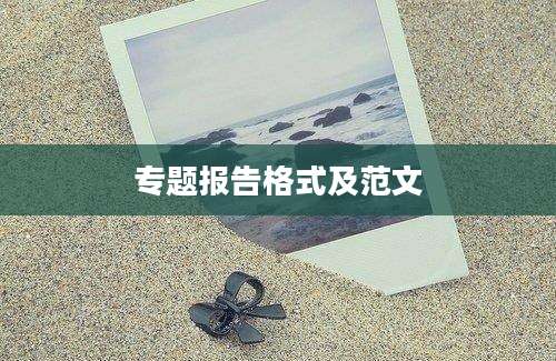 专题报告格式及范文