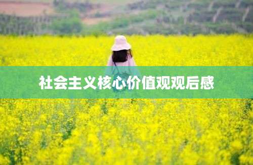 社会主义核心价值观观后感