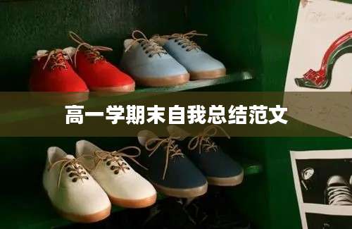 高一学期末自我总结范文