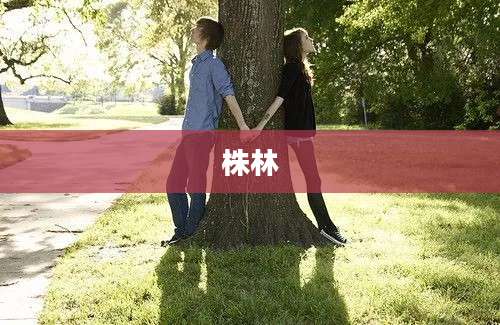 株林
