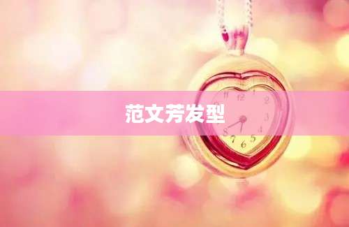 范文芳发型