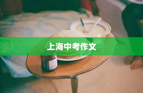 上海中考作文