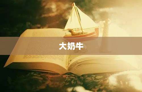 大奶牛