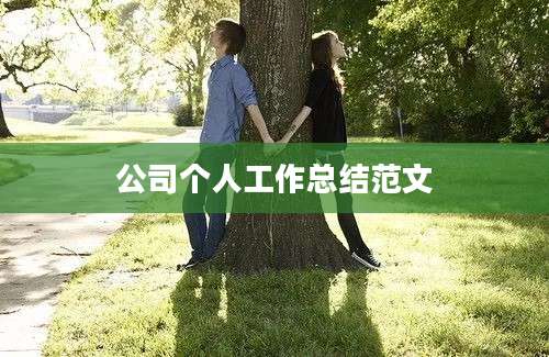 公司个人工作总结范文