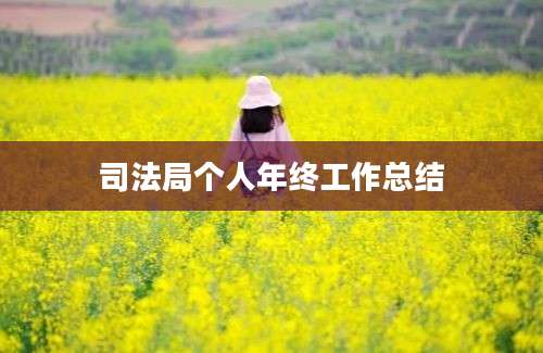 司法局个人年终工作总结