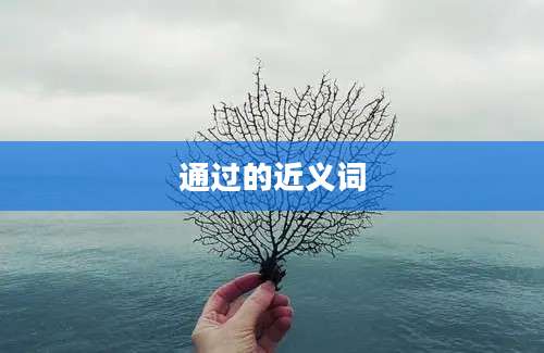 通过的近义词