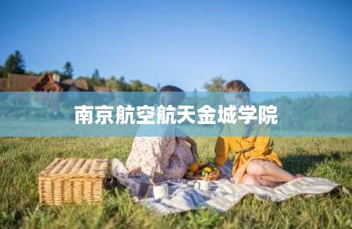 南京航空航天金城学院