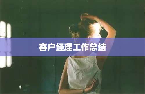客户经理工作总结