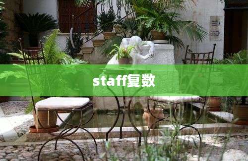 staff复数