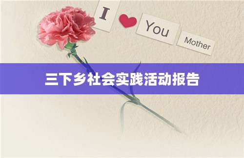 三下乡社会实践活动报告
