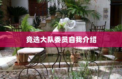 竟选大队委员自我介绍