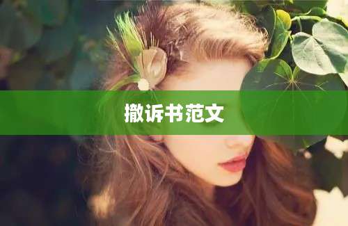 撤诉书范文