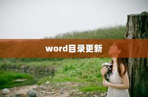word目录更新
