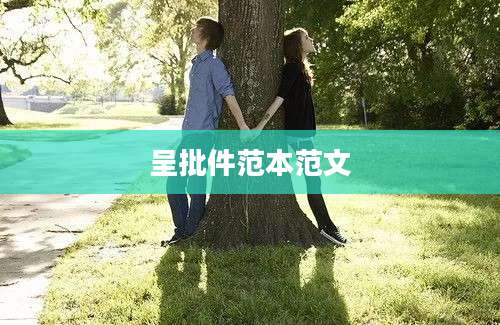 呈批件范本范文