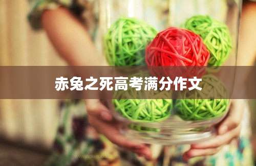 赤兔之死高考满分作文
