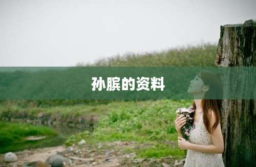 孙膑的资料