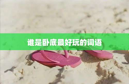 谁是卧底最好玩的词语