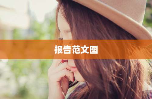 报告范文图