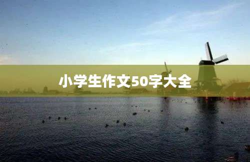 小学生作文50字大全