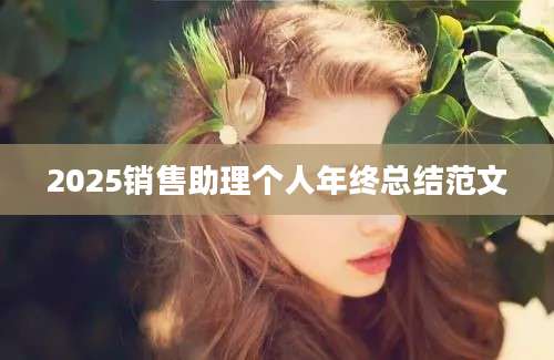 2025销售助理个人年终总结范文