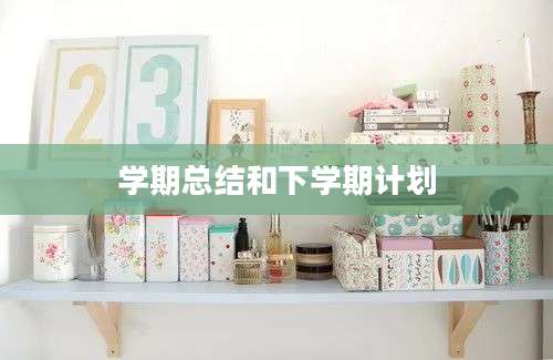 学期总结和下学期计划