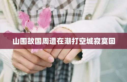 山围故国周遭在潮打空城寂寞回