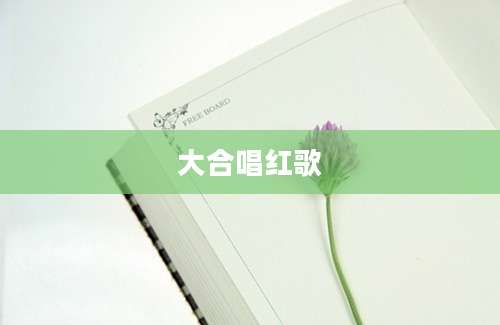 大合唱红歌