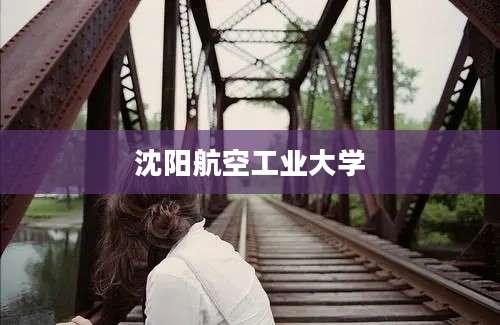 沈阳航空工业大学
