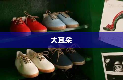 大耳朵