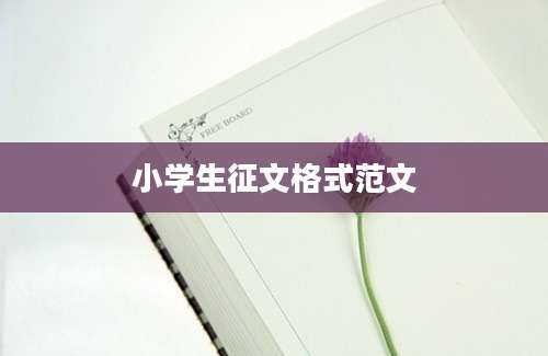 小学生征文格式范文