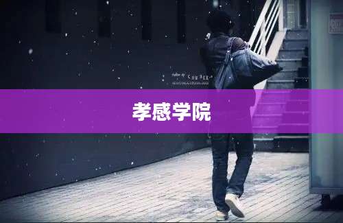 孝感学院