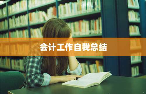 会计工作自我总结