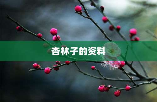 杏林子的资料