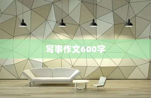 写事作文600字