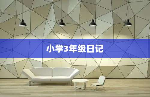小学3年级日记