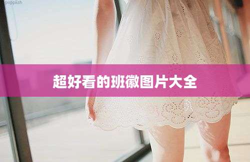 超好看的班徽图片大全