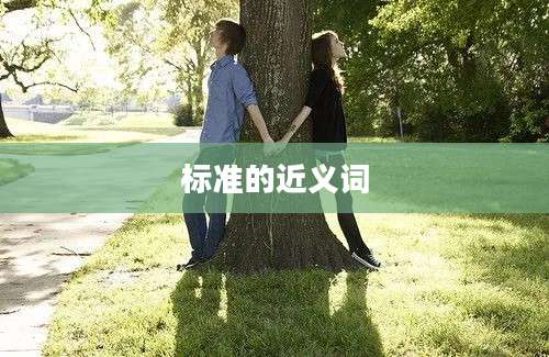 标准的近义词