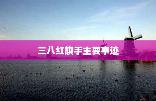 三八红旗手主要事迹