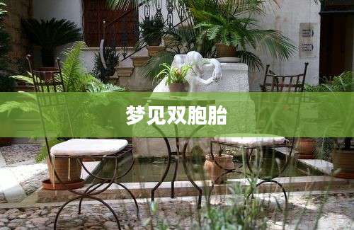 梦见双胞胎