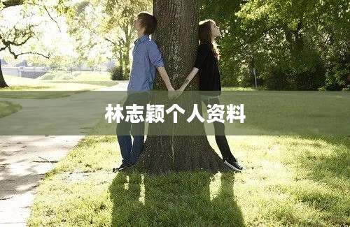 林志颖个人资料