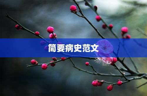 简要病史范文