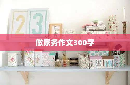做家务作文300字