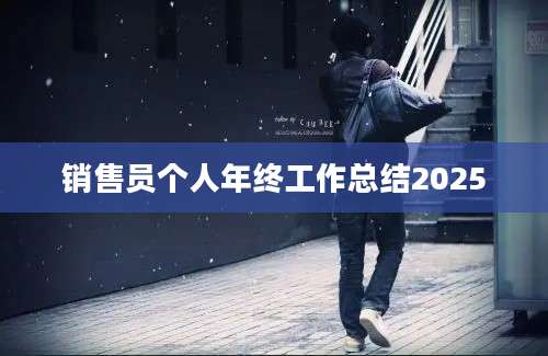 销售员个人年终工作总结2025