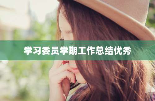学习委员学期工作总结优秀
