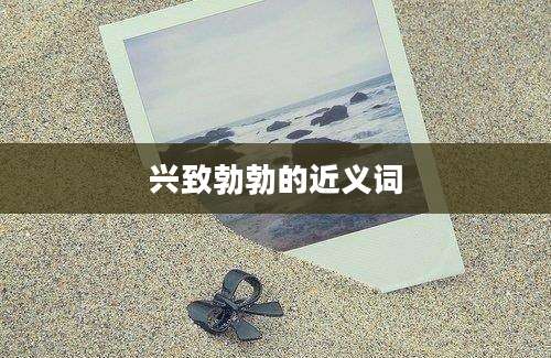 兴致勃勃的近义词