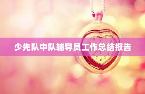 少先队中队辅导员工作总结报告